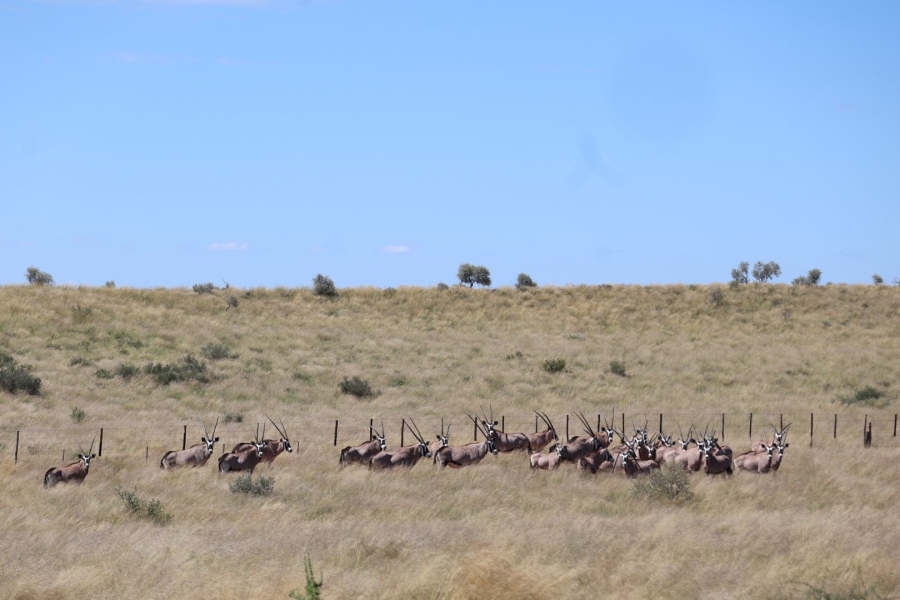 Commercial Property for Sale in Upington Rural Northern Cape